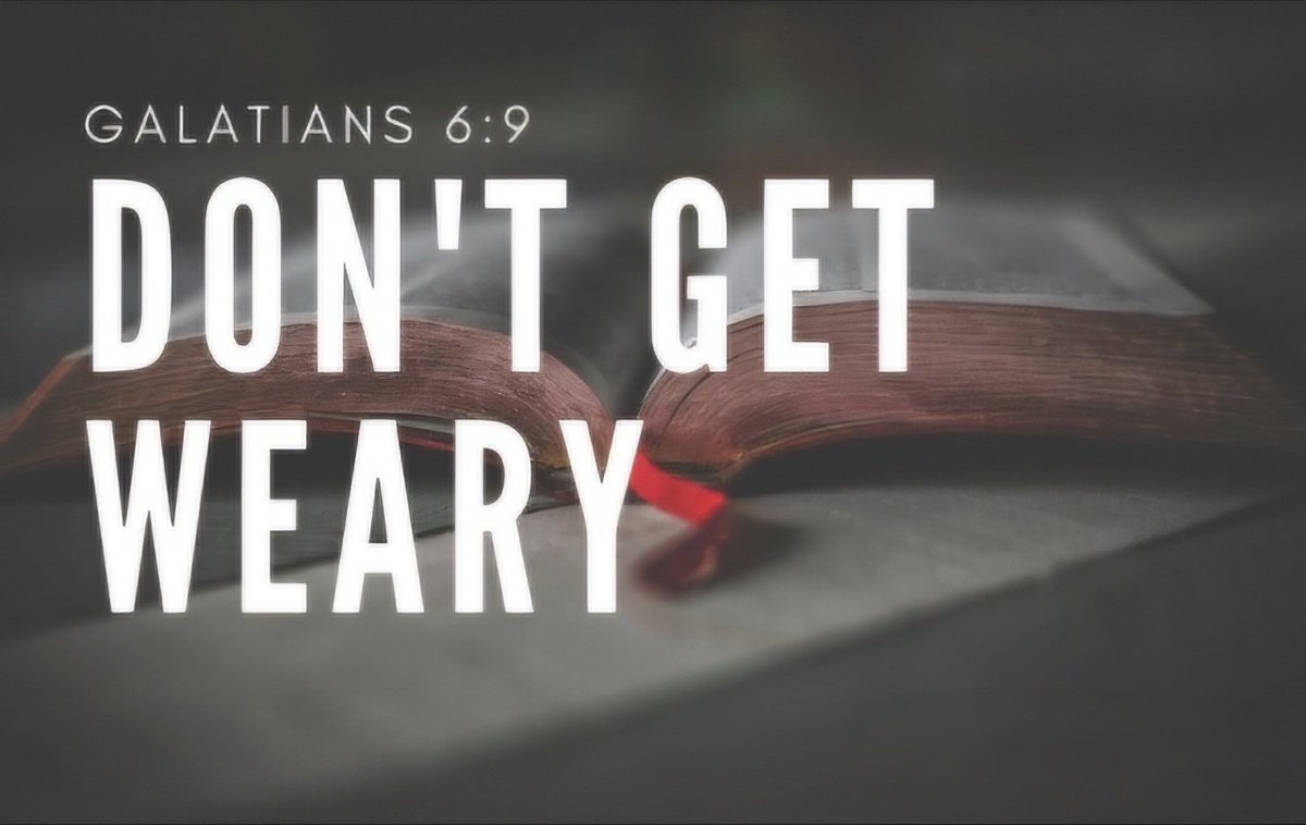 rechfoundation's tweet image. Good morning! The main thing not to do is don't grow weary. Don't give up the fight. You are an equipped soldier. Don't quit. #dontfold #soldier #soldierwoman #soldierman #helpinthehouse #Solutionist #iamaningredient #justicegeneral