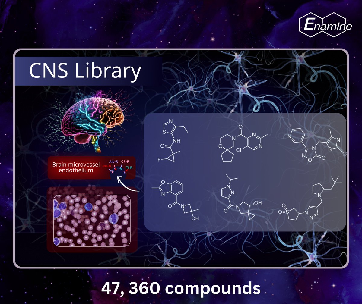 To create Enamine CNS-targeted library that supports the discovery of new CNS drugs, we applied versatile selection approaches, focusing on molecular properties and structural features preferable for BBB permeability.

Enamine CNS Library for hit discovery offers several