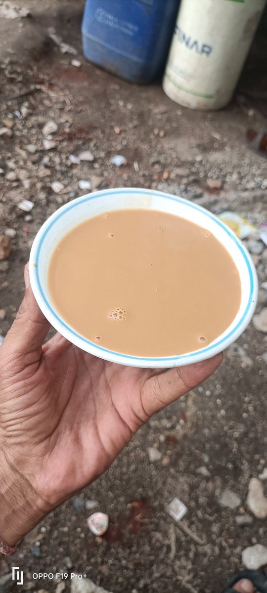 Good evening friends 🌺