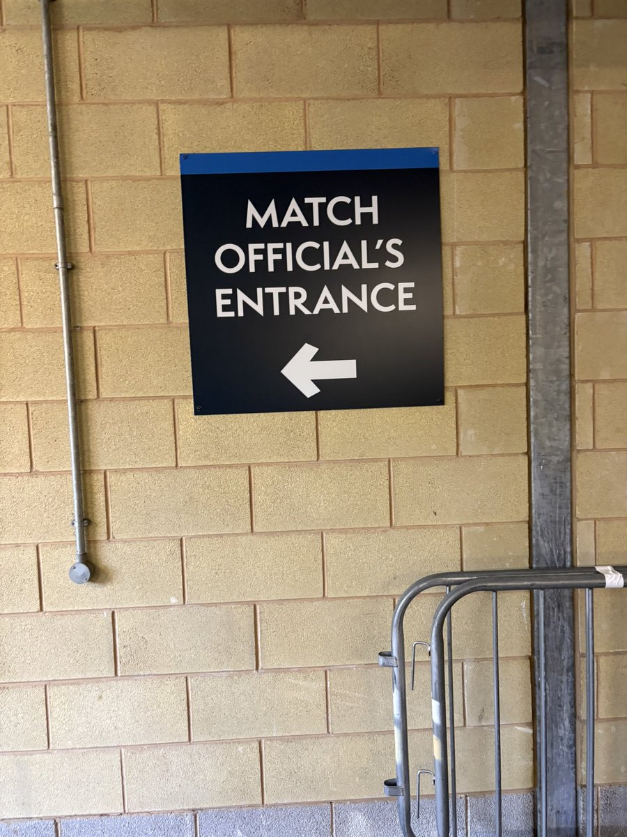 Elizabeth Ammon tweet media