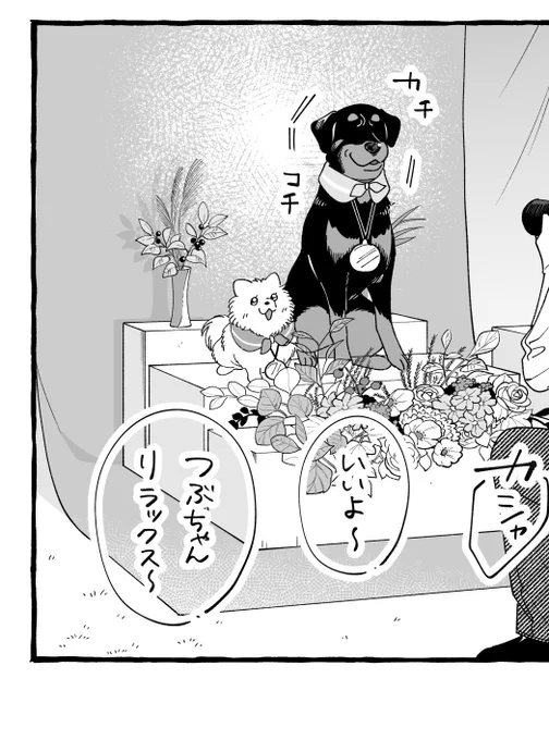 「正反対なわたしたち」46話
明日更新いたします🐶🔔

ドッグイベントもおわりが近づき、2匹が写真撮影でモデル気分(?)📸 