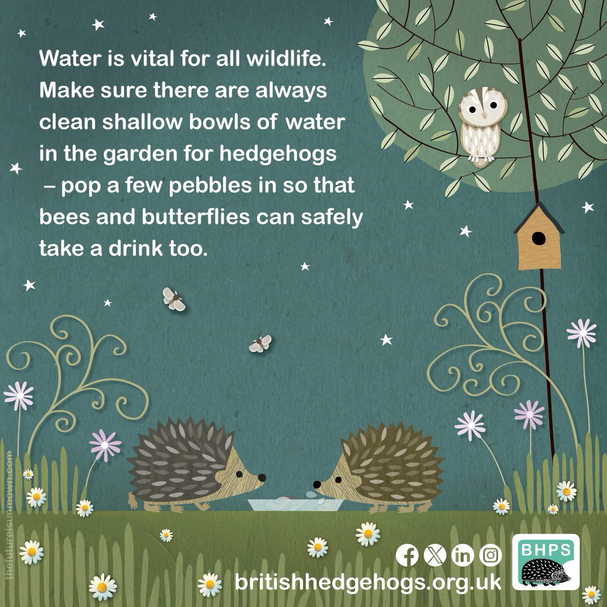 Don’t forget to put water out for wildlife in these warm
Conditions