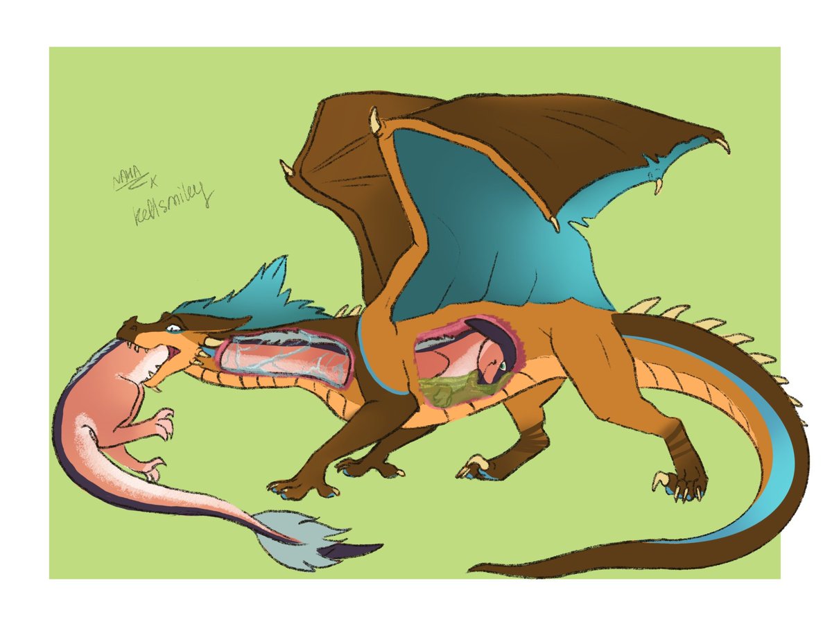 The prey is too long!
