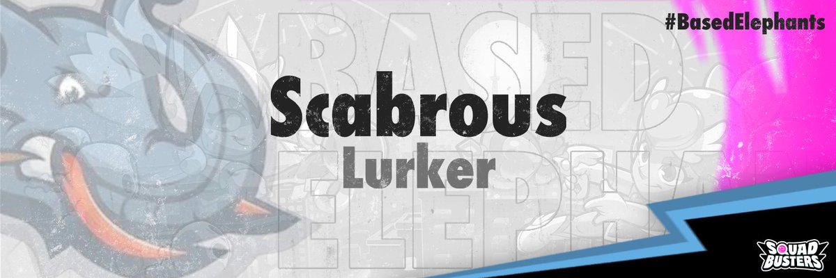 BasedElephants tweet media