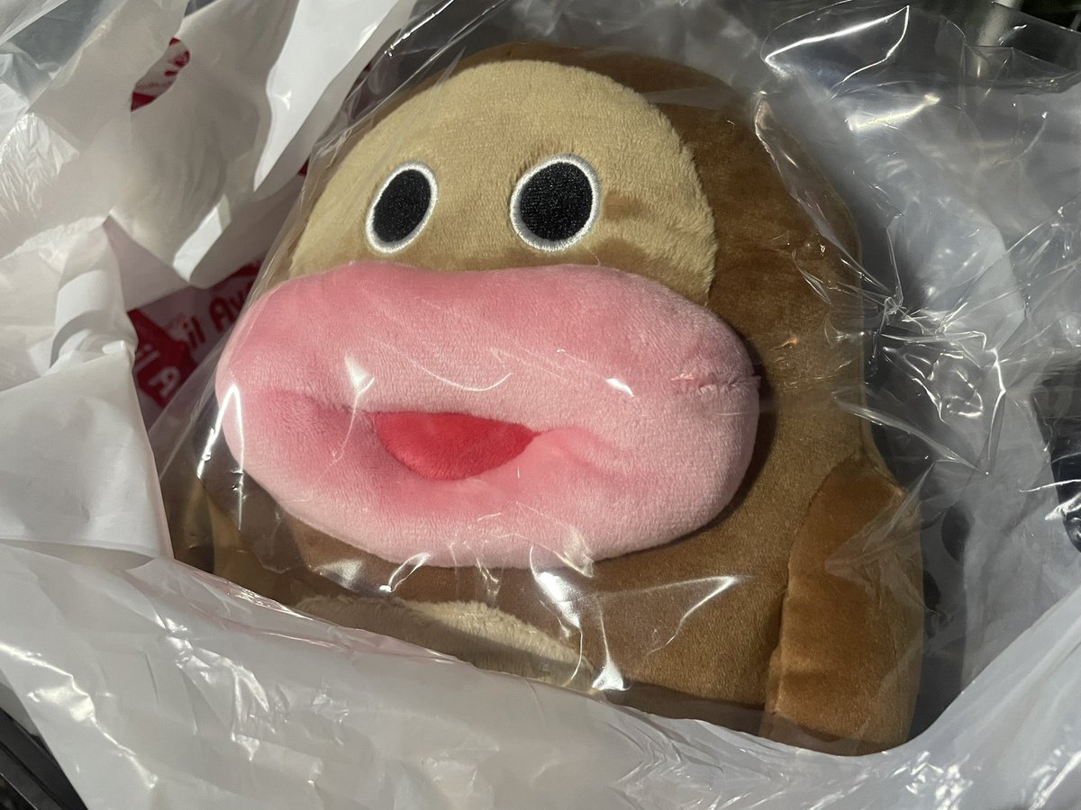 どことなくぬぼみを感じる、、、
