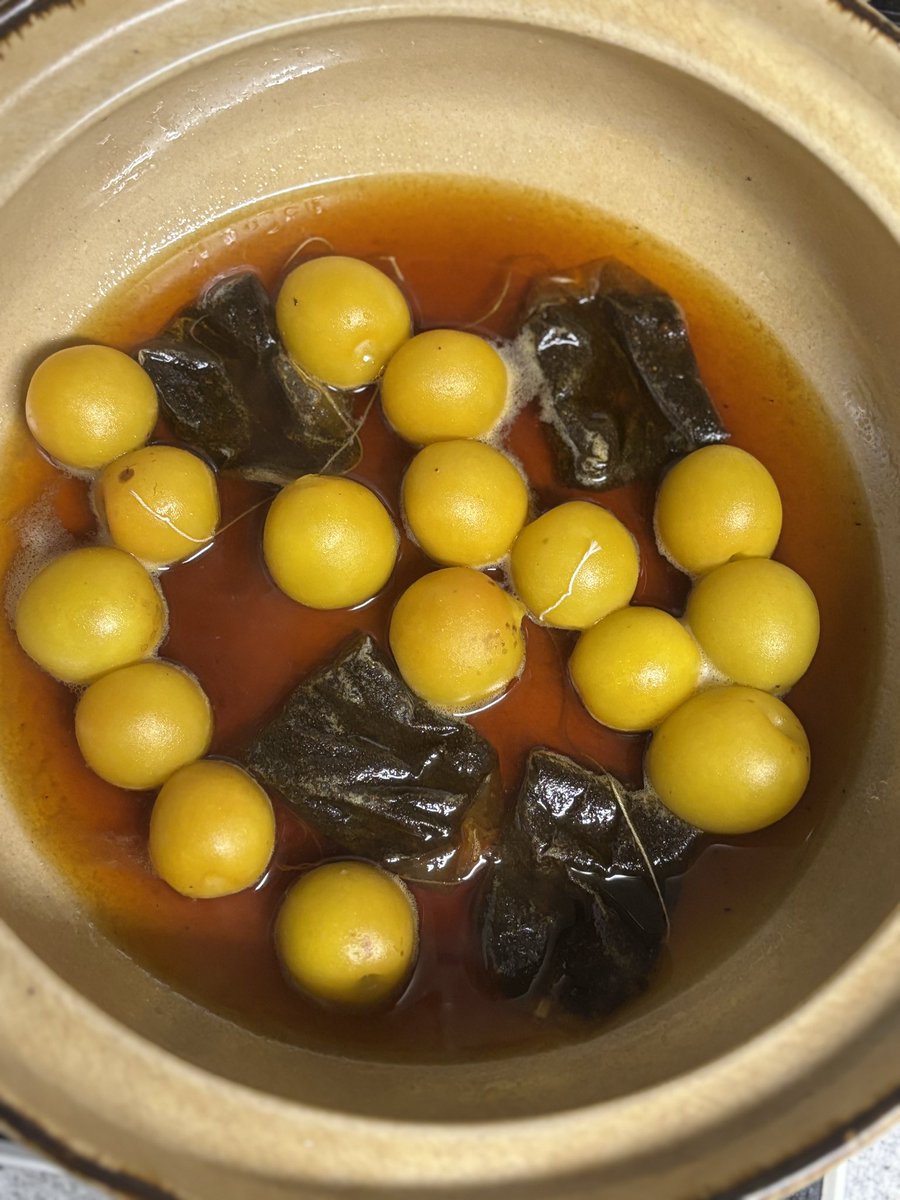 rocobee's tweet photo. 夕食後に、梅シロップ、梅甘酒、梅の酒粕漬け、梅ダージリン(ダージリンがなかったからアッサム)、仕込んだゾー😊

食いしん坊は、今しかない食材に弱い。

梅甘酒と梅ダージリンは、明日の朝のお楽しみ😋

# 梅仕事 https://t.co/i3pjPpLwYs