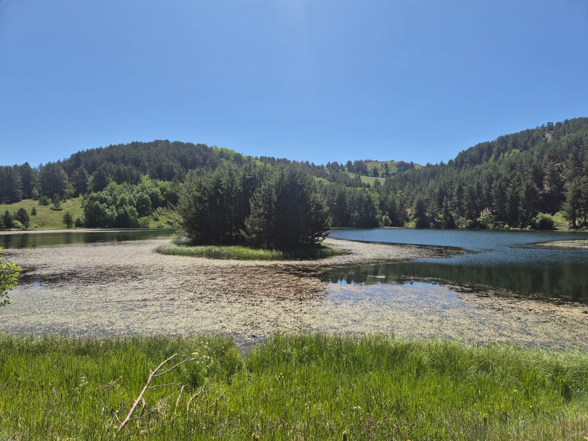 🏞️ Palan Extreme için Saha İncelemesi!

İl Kültür ve Turizm Müdürü Ahmet Yer ile Vali Yrd. Mustafa Berk Çelik, AFAD, UMKE ve JAK ile yarışma alanlarında güvenlik incelemesi yaptı.

📍 Narman Karagöl, Tortum Gölü, Uzundere, Şendurak, Zuğar Boğazı, Çoruh Irmağı incelendi.