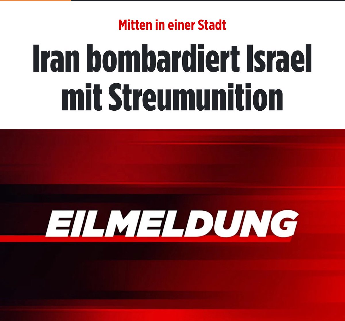 Grünfink tweet media