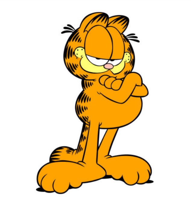 rglopez's tweet image. Which of these cats is more interesting? Uhmmmm, I have an idea!
@Hosico_on_sol @allstarsVEN #hosico 
#blockchain