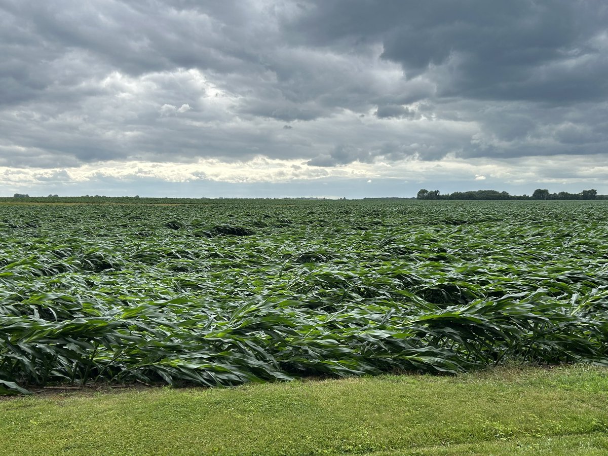 C_booger_74 tweet media