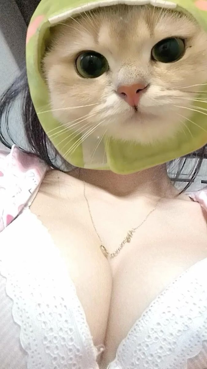 a_llit45946's tweet photo. แมวตัวนี้ขี้อ้อนมากก 👅#สระบุรี https://t.co/7OJseoPb8t