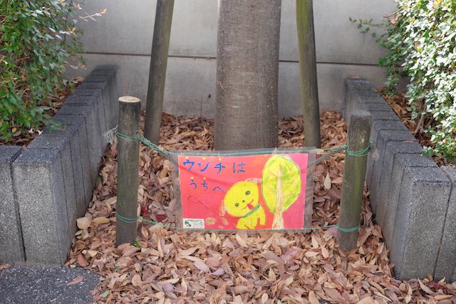 【#ノゾエ征爾 の「桜の島の野添酒店」】
更新❗️
No.147「出番です」

とある舞台公演を観に行ったノゾエさん。
そこで動揺する事態が…😲
AIアバターの白石加代子さんに
ノゾエさんが客席からした質問とは❓❓

enbutown.com/joho/2025/06/1…