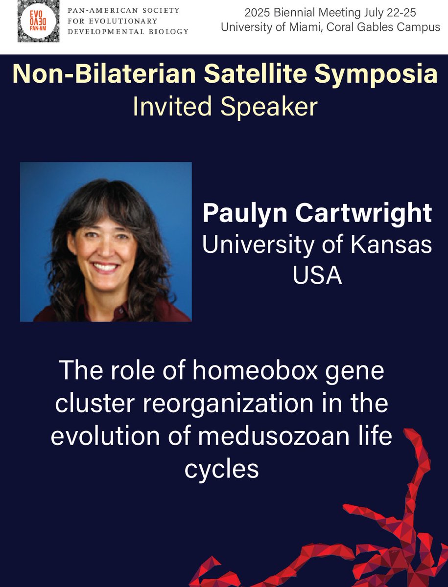 EvoDevo PanAm (@evodevopanam) on Twitter photo Calling all lovers of Non-bilaterian EvoDevo!! 🪼💙🪼
Our incredible invited speaker for the Non-Bilaterian Satellite symposia at the #PASEDB2025
Paulyn Cartwright
University of Kansas
Organizers: Athula Wikramanayake, Bill Browne &
<a href="/natclarke8/">nat clarke</a> Calling all lovers of Non-bilaterian EvoDevo!! 🪼💙🪼
Our incredible invited speaker for the Non-Bilaterian Satellite symposia at the #PASEDB2025
Paulyn Cartwright
University of Kansas
Organizers: Athula Wikramanayake, Bill Browne &
<a href="/natclarke8/">nat clarke</a>