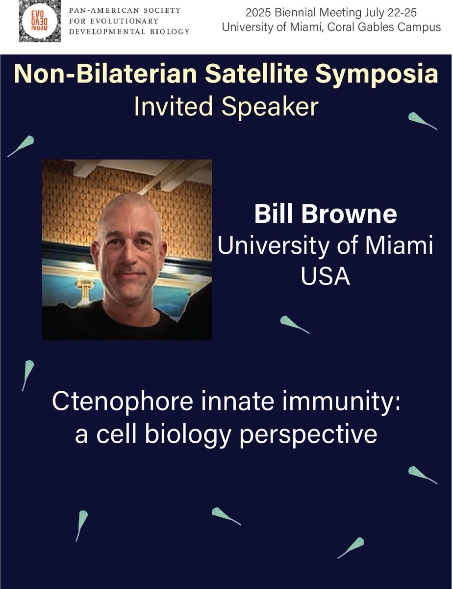 EvoDevo PanAm (@evodevopanam) on Twitter photo 🪼🪸 Calling all lovers of Non-bilaterian EvoDevo!!
Our incredible invited speaker for the Non-Bilaterian Satellite symposia at the #PASEDB2025
Bill Browne
University of Miami
Organizers: Athula Wikramanayake, Bill Browne &
<a href="/natclarke8/">nat clarke</a> 🪼🪸 Calling all lovers of Non-bilaterian EvoDevo!!
Our incredible invited speaker for the Non-Bilaterian Satellite symposia at the #PASEDB2025
Bill Browne
University of Miami
Organizers: Athula Wikramanayake, Bill Browne &
<a href="/natclarke8/">nat clarke</a>