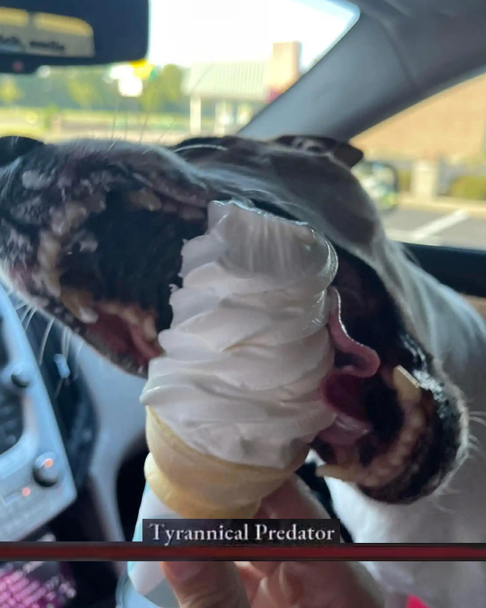 Early DLC boss spoilers