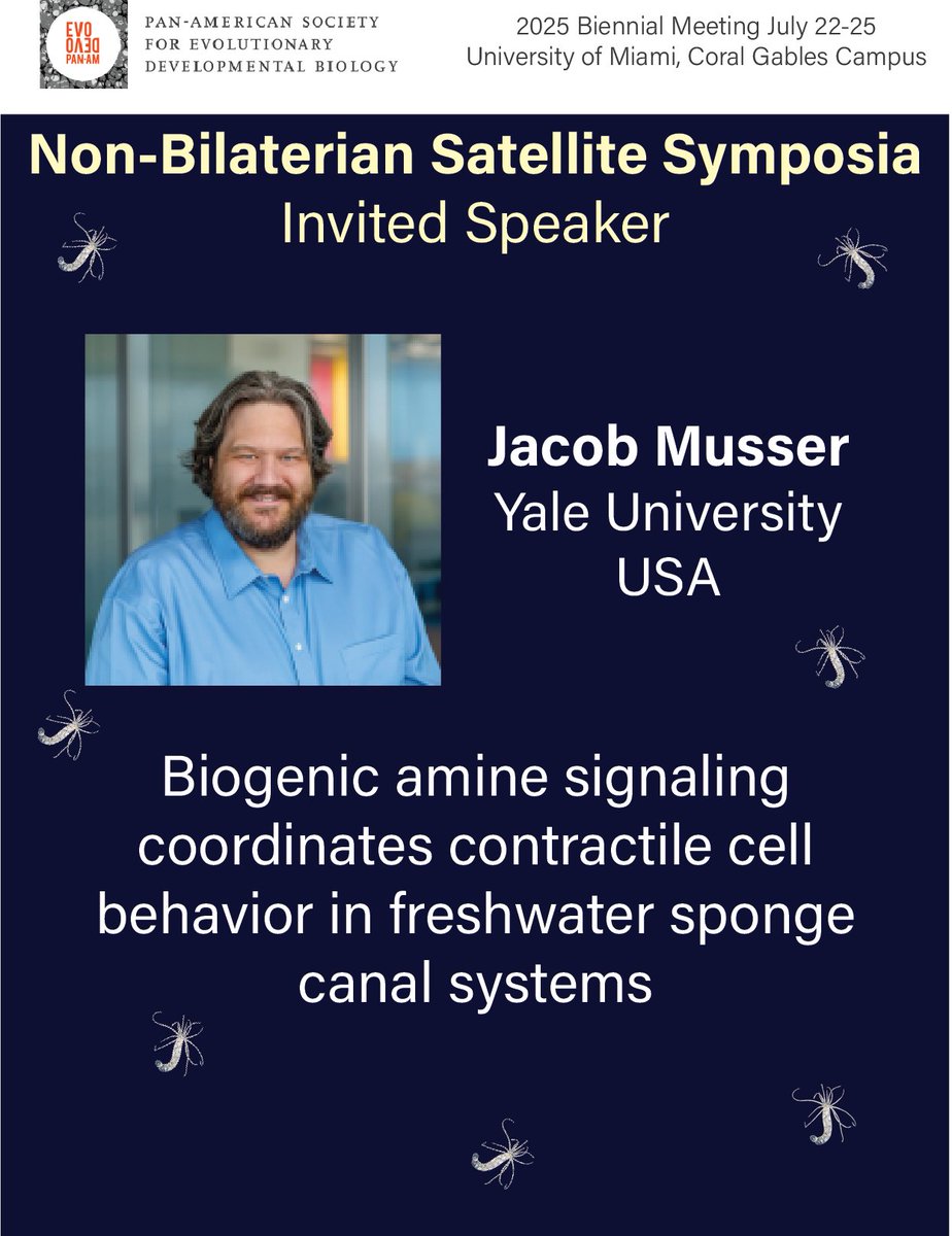 EvoDevo PanAm (@evodevopanam) on Twitter photo Calling all lovers of Non-bilaterian EvoDevo!! 🪼🪼💙
Our incredible invited speaker for the Non-Bilaterian Satellite symposia at the #PASEDB2025
Jacob Musser
Yale University
Organizers: Athula Wikramanayake, Bill Browne &
<a href="/natclarke8/">nat clarke</a> Calling all lovers of Non-bilaterian EvoDevo!! 🪼🪼💙
Our incredible invited speaker for the Non-Bilaterian Satellite symposia at the #PASEDB2025
Jacob Musser
Yale University
Organizers: Athula Wikramanayake, Bill Browne &
<a href="/natclarke8/">nat clarke</a>