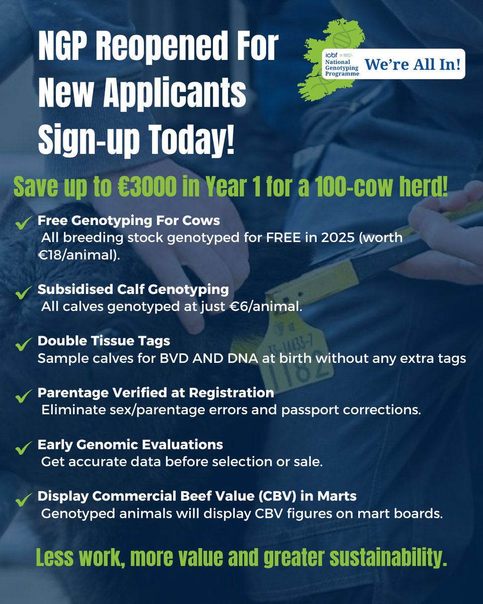 Don't miss out on the opportunity to genotype all of your breeding stock for FREE in 2025. Join the 15,000 beef and dairy herds currently signed up to the world first #NGP
Go to the ICBF website icbf.com to sign up today!