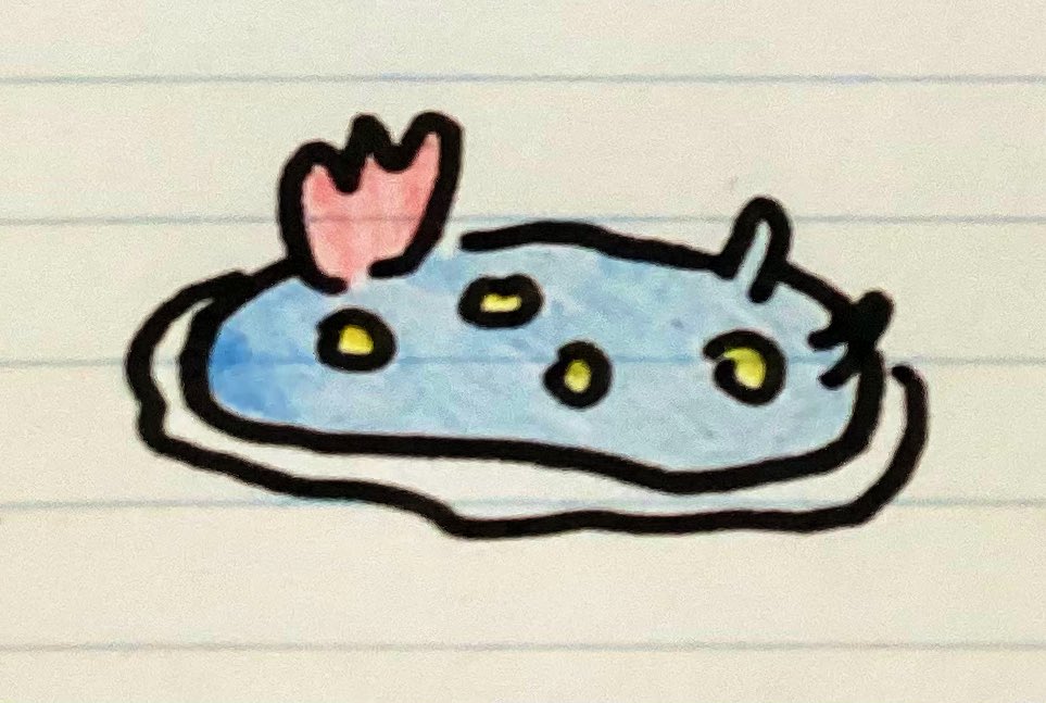 本日+2行っけえええ

✧*｡22時から0時過ぎ✧*｡

大きく動かなそうならギフ禁

お礼を送りたいので6/17～6/19朝のポイント教えてください〜
眠い〜これはウミウシ

 #IRIAMライバーさんと繋がりたい 
 #Vリスナーさんに見つかりたい