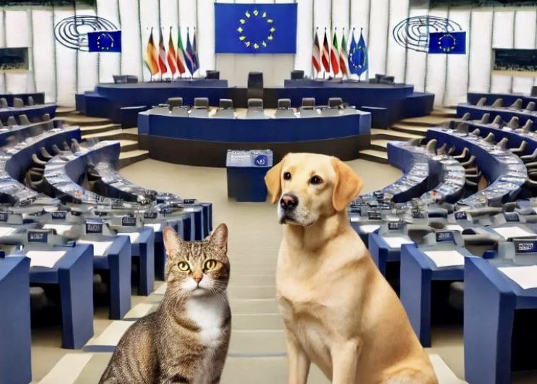 La Fondation #30millionsdamis salue l’adoption à Strasbourg de la 1ère réglementation UE sur le bien-être des chiens et des chats : « Une avancée européenne incontestable » pour Reha Hutin, sa Présidente, qui appelle les instances communautaires à se saisir de cette opportunité