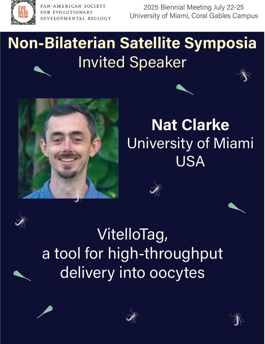 EvoDevo PanAm (@evodevopanam) on Twitter photo 🪸💙🪼Calling all lovers of Non-bilaterian EvoDevo!!
Our incredible invited speaker for the Non-Bilaterian Satellite symposia at the #PASEDB2025
Nat Clarke
University of Miami
Organizers: Athula Wikramanayake, Bill Browne &
<a href="/natclarke8/">nat clarke</a> 🪸💙🪼Calling all lovers of Non-bilaterian EvoDevo!!
Our incredible invited speaker for the Non-Bilaterian Satellite symposia at the #PASEDB2025
Nat Clarke
University of Miami
Organizers: Athula Wikramanayake, Bill Browne &
<a href="/natclarke8/">nat clarke</a>