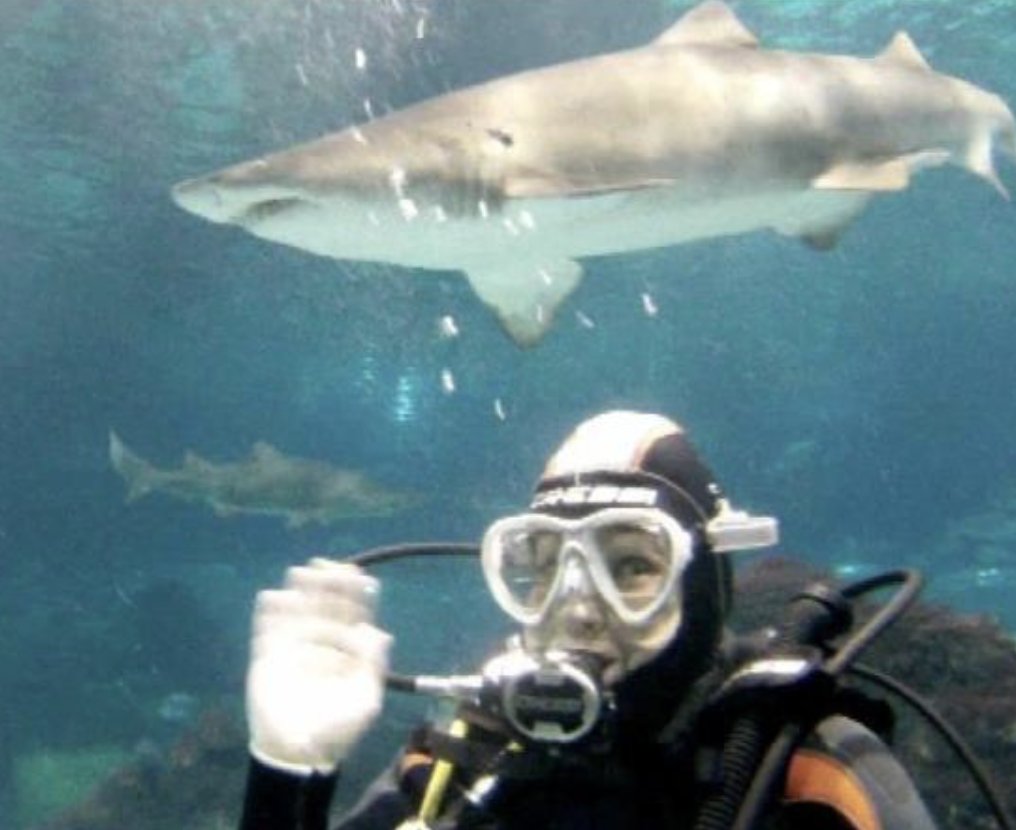 Movies shape attitudes. Steven Spielberg´s "Jaws" is 50 years old! It really affected how people view sharks. Spielberg says he´s sorry for giving sharks such a bad rep. 
I´ve seen sharks on dives, they are very endangered. I try to do my bit for conservation thro <a href="/WWF/">WWF</a>