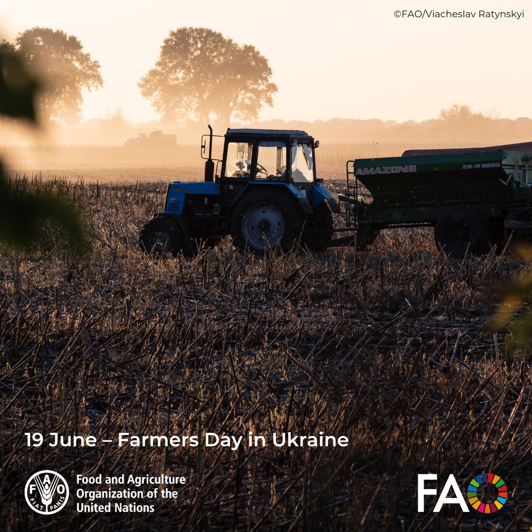 🌾 June 19 – Ukrainian Farmer Day

Despite the war, shelling and landmines, farmers continue to feed communities and support local economy. Since 2022, FAO has supported over 16 000 Ukrainian farmers with seeds, temporary storage, grants and vouchers.