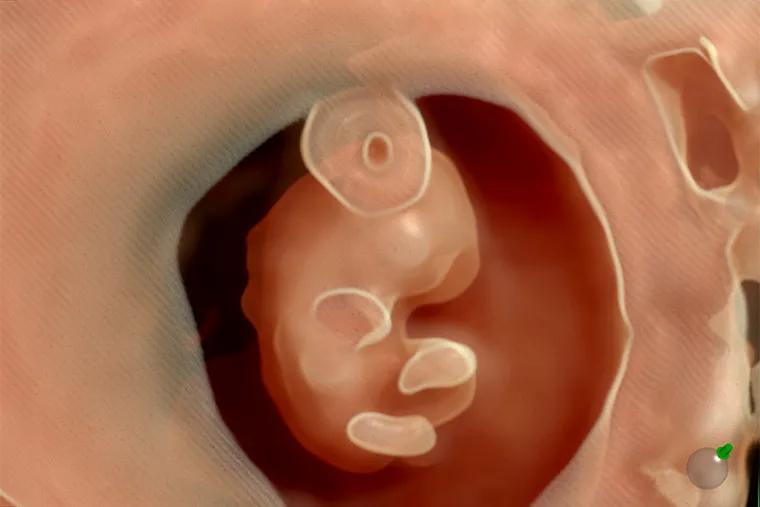 Половинка луны, меховые сыны tweet media