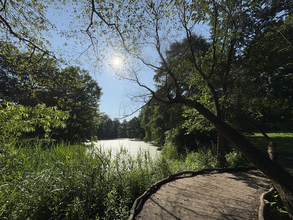 Lori Moloney (@lorifaithnyc) on Twitter photo The sun is out!! Holiday here so wandered up to the pool. #juneteenth2025 #mymorningwalk <a href="/CentralParkNYC/">Central Park</a> The sun is out!! Holiday here so wandered up to the pool. #juneteenth2025 #mymorningwalk <a href="/CentralParkNYC/">Central Park</a>