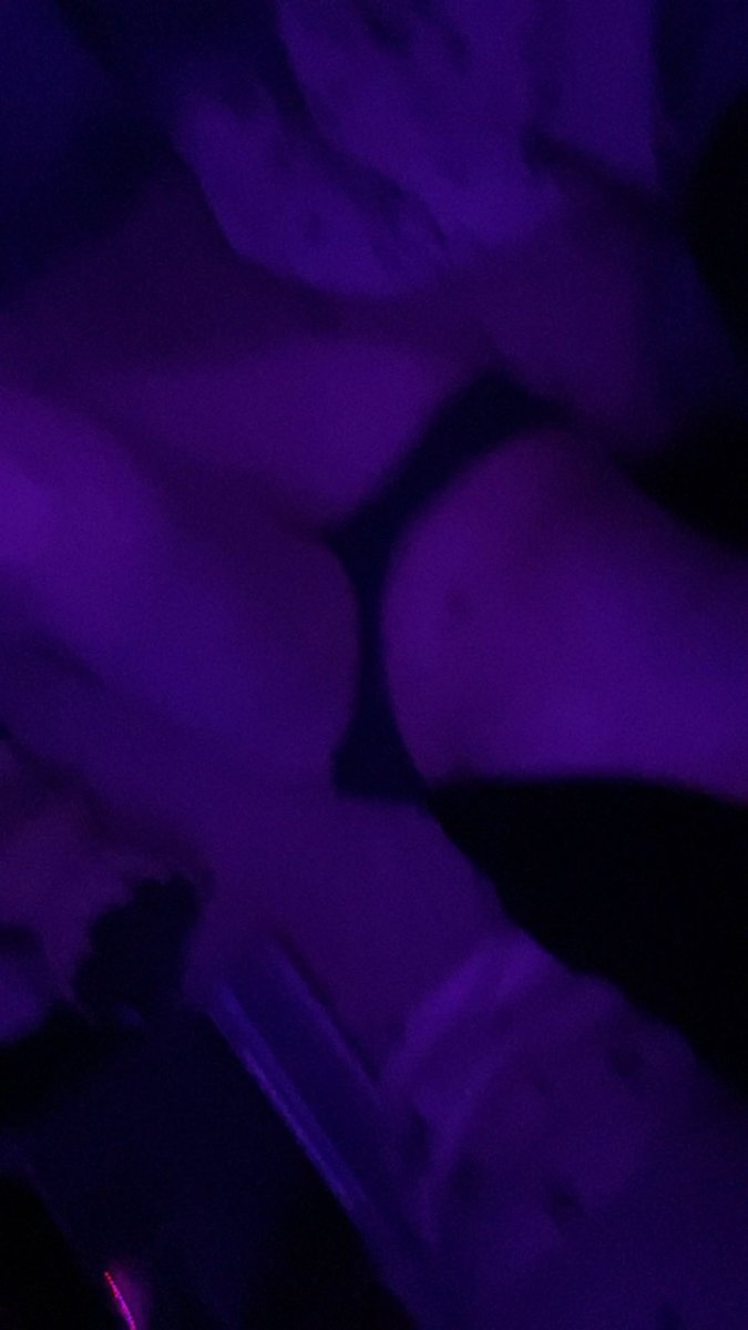 Next person to subscribe to my OF gets 50% off btwwww🔥🔞 
Link in bio 💜