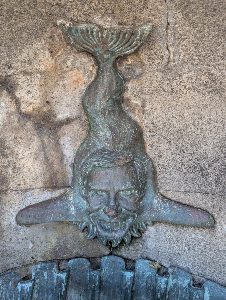 Rese Cloyd 🏳️🌈🌻🥾🚣♀️ tweet media