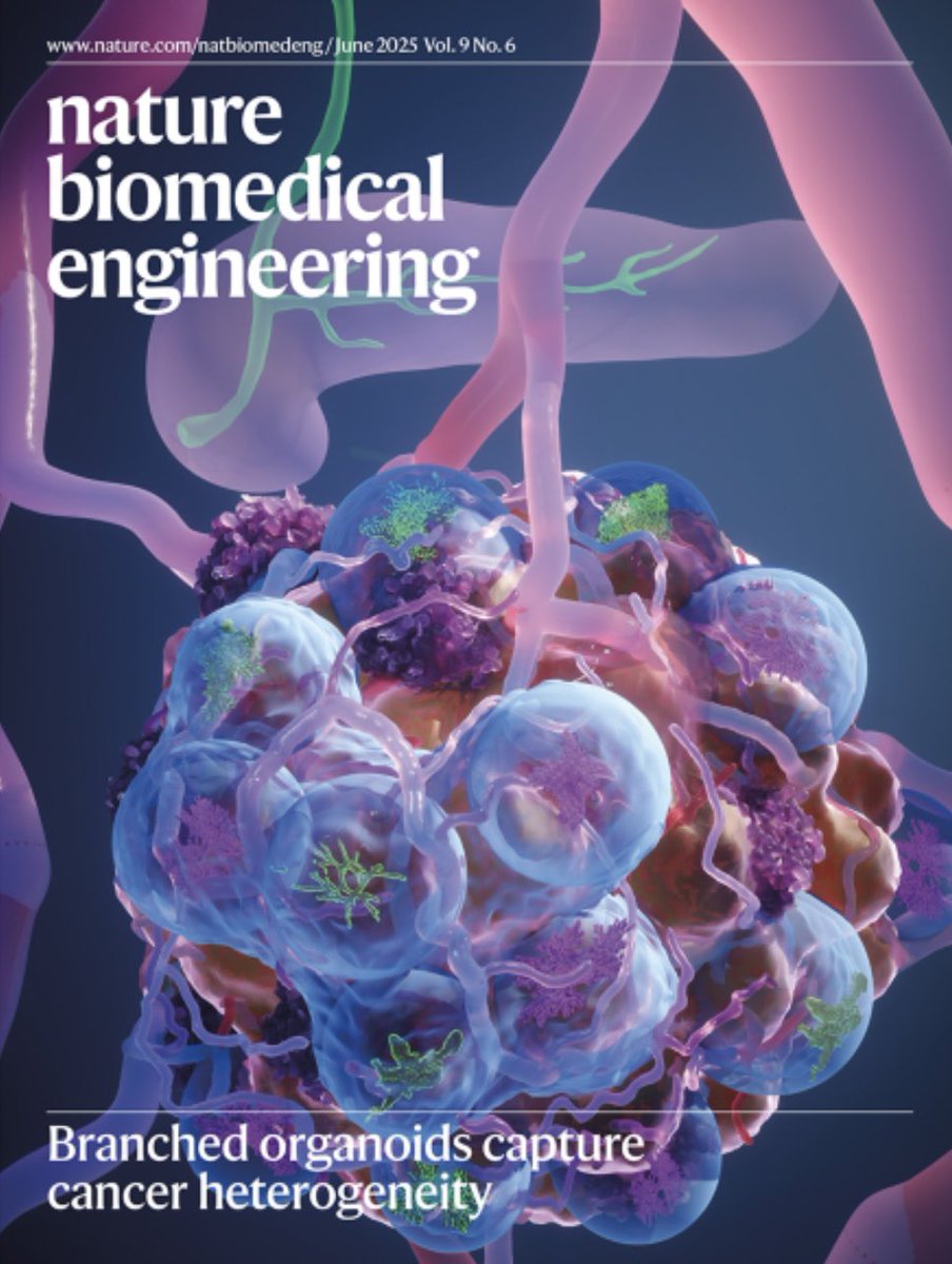 Aristeidis Papargyriou (@arispapargyriou) on Twitter photo What a great day! 😁
Very happy to see the latest cover of <a href="/natBME/">Nature Biomedical Engineering</a> featuring our paper from my PhD work with <a href="/MaxReichertMD/">Maximilian Reichert</a> <a href="/TU_Muenchen/">TU München</a> on #Organoids capturing tumour heterogeneity!!
Thanks to an amazing team! 🤩
Thanks to <a href="/Ella_Maru/">Ella Marushchenko</a> for the cover ☺️!
nature.com/articles/s4155… What a great day! 😁
Very happy to see the latest cover of <a href="/natBME/">Nature Biomedical Engineering</a> featuring our paper from my PhD work with <a href="/MaxReichertMD/">Maximilian Reichert</a> <a href="/TU_Muenchen/">TU München</a> on #Organoids capturing tumour heterogeneity!!
Thanks to an amazing team! 🤩
Thanks to <a href="/Ella_Maru/">Ella Marushchenko</a> for the cover ☺️!
nature.com/articles/s4155…