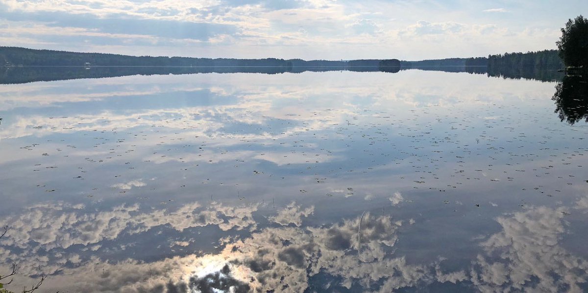 Leppoisaa juhannusmieltä, oli sää mitä tahansa! Keskikesä on joka tapauksessa. 

#pohjolanvoima #juhannus