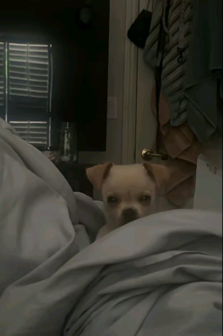 😑