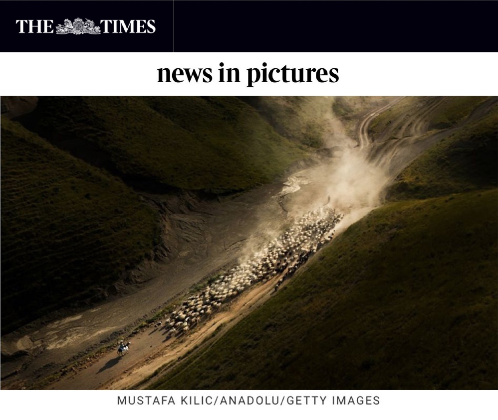oozer_7's tweet photo. AA Serbest Haberci @Musti_KILIC'ın Bitlis'in Tatvan ilçesinde çobanların yayla yolculuğu sırasında çektiği fotoğraf The Times'da yer aldı
@anadoluimages @anadoluajansi @Yusuf_Ozhan @aunlupinar @fotomotovol @hhasanay @OrhanTopal3 https://t.co/QmIBOKgcvH