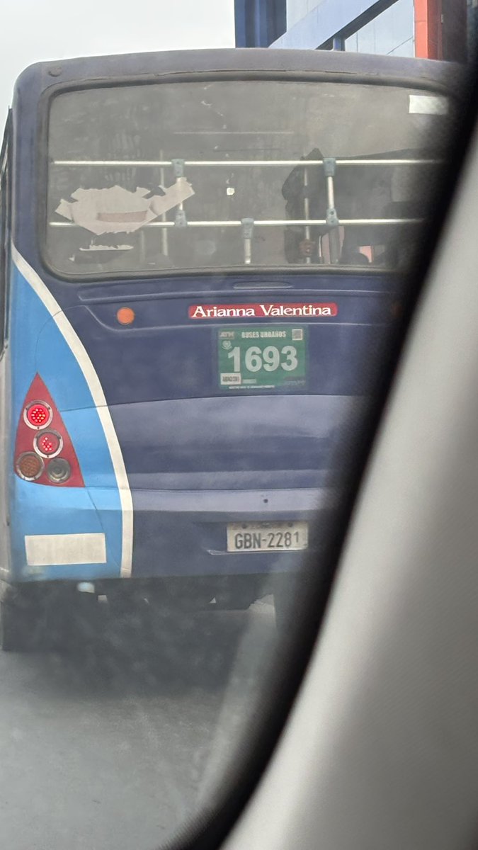 Gingerex tweet media