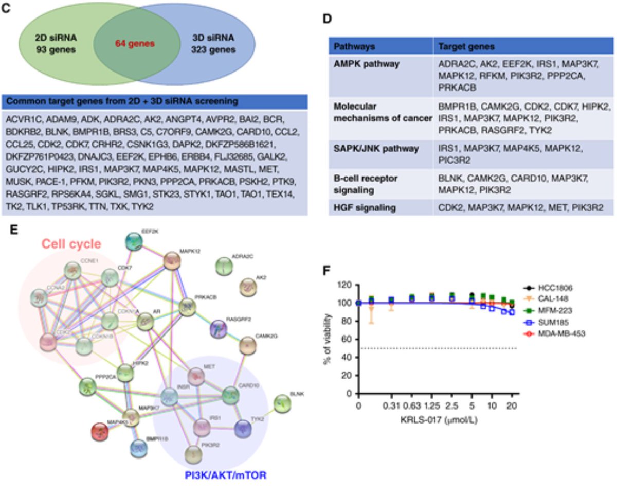 Targeting CDK7 Enhances the Antitumor Efficacy of Enzalutamide in Androgen Receptor–Positive Triple-Negative Breast Cancer by Inhibiting c-MYC–mediated Tumorigenesis Available: brnw.ch/21wTwSw