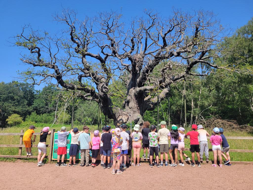 "I can't believe we are standing by the tree Robin Hood once lived in." 🦔
