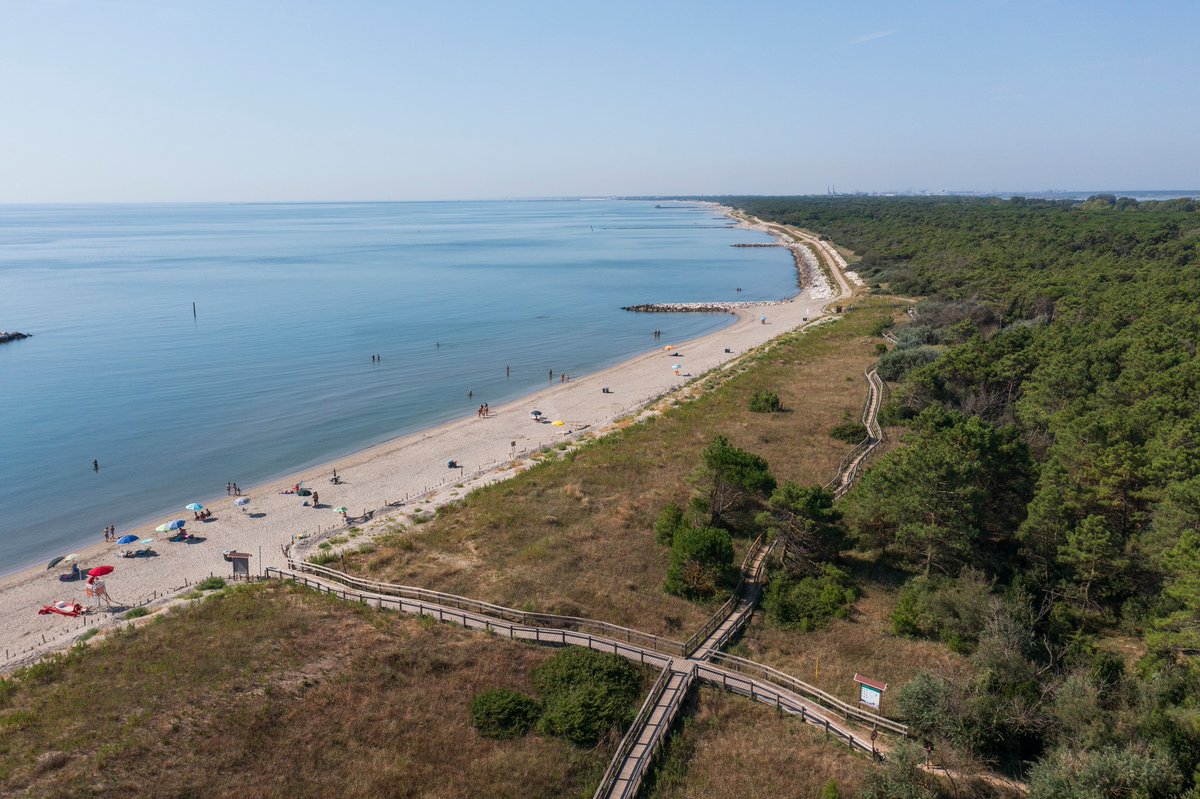 Una spiaggia letteralmente immersa nella natura accessibile attraverso pratiche passerelle in legno: qui siamo a Casalborsetti, ma il Parco Marittimo di #Ravenna continua per altri 35 Km di costa 🌊
#myRavenna