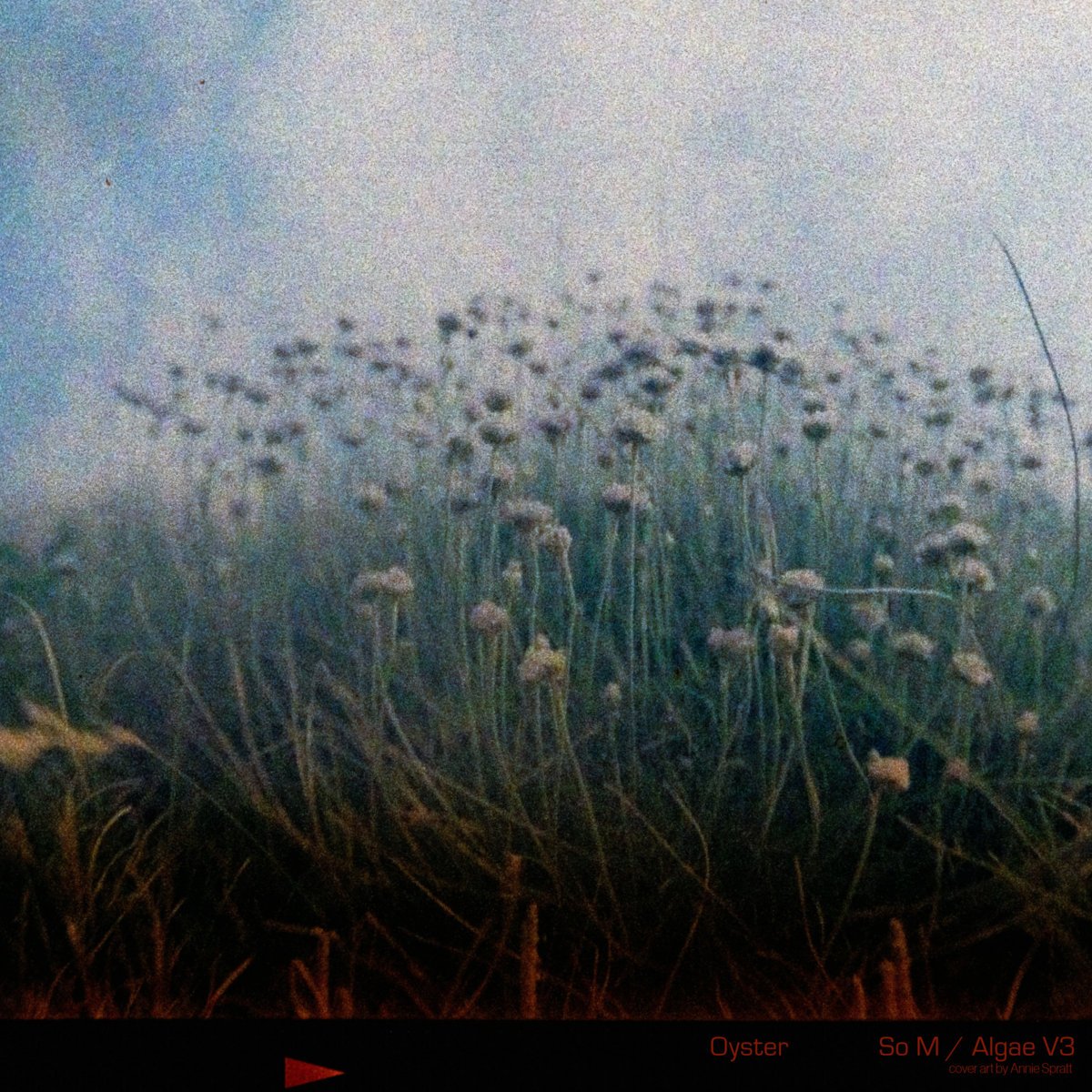 a1_oyster's tweet image. So M / Algae V3
a1oyster.bandcamp.com/track/so-m-alg…