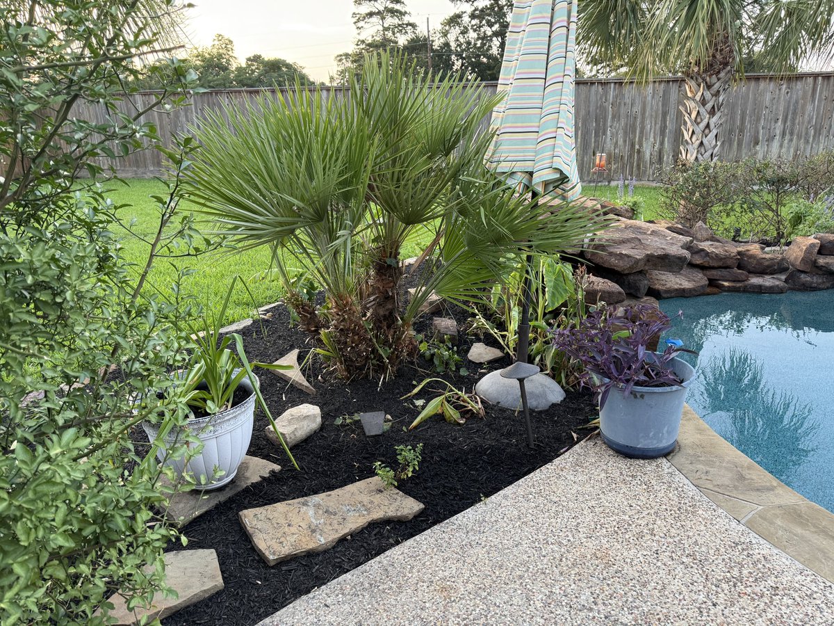 Behold! Backyard!