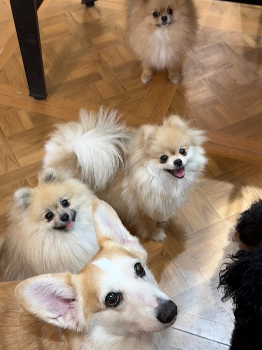 成人ベビー体質に適した場所ですね。本当に可愛すぎます ☺️