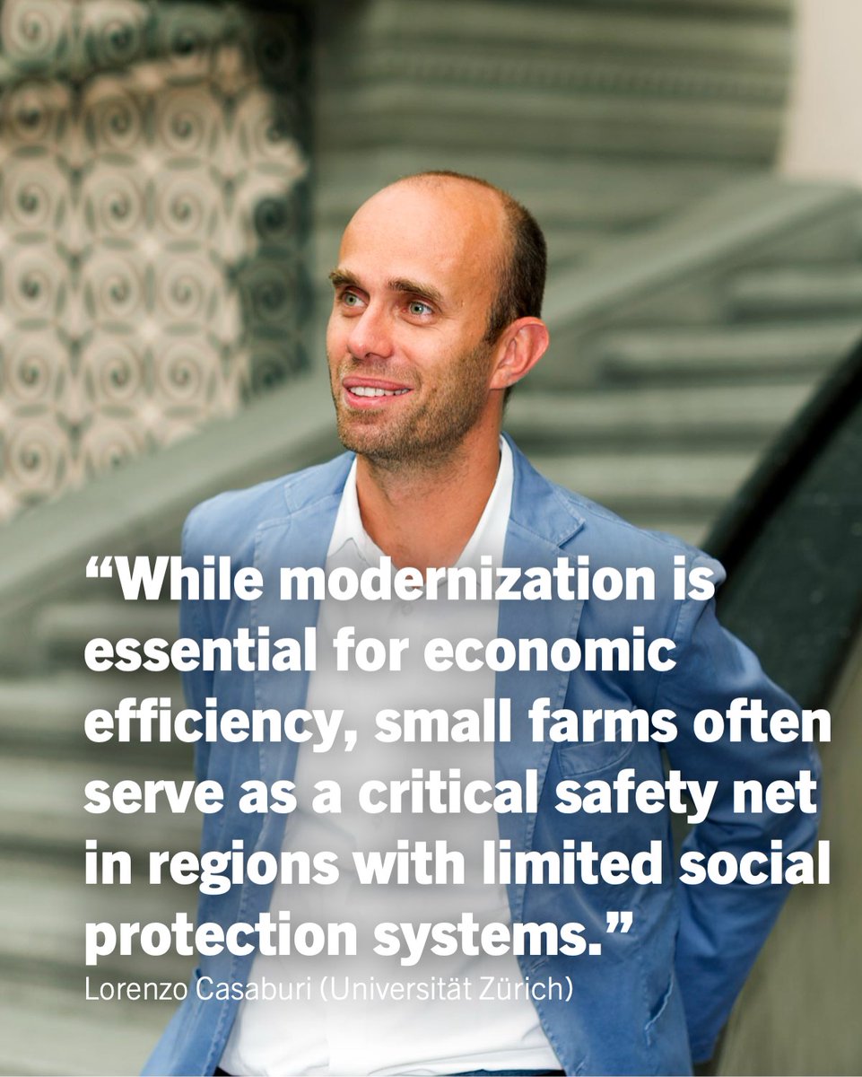“While modernization is essential for economic efficiency, small farms often serve as a critical safety net in regions with limited social protection systems.” – UBS Foundation Professor Lorenzo Casaburi

ubscenter.uzh.ch/en/news_events…

How can we address the complexities of fostering
