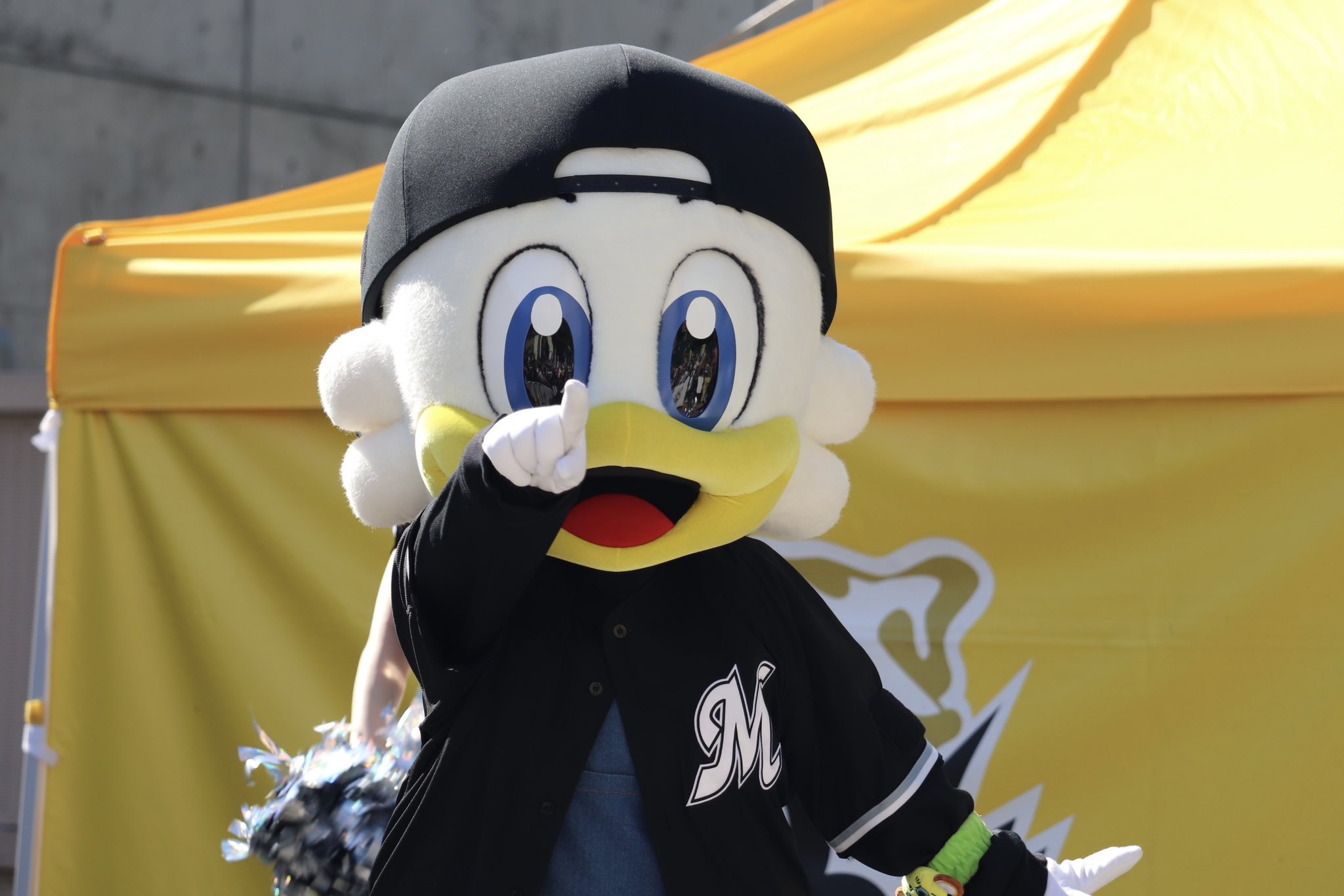 つーちゃん ハセガワ H-4967834211599 1／24 ニッサン フェアレディZ Z32