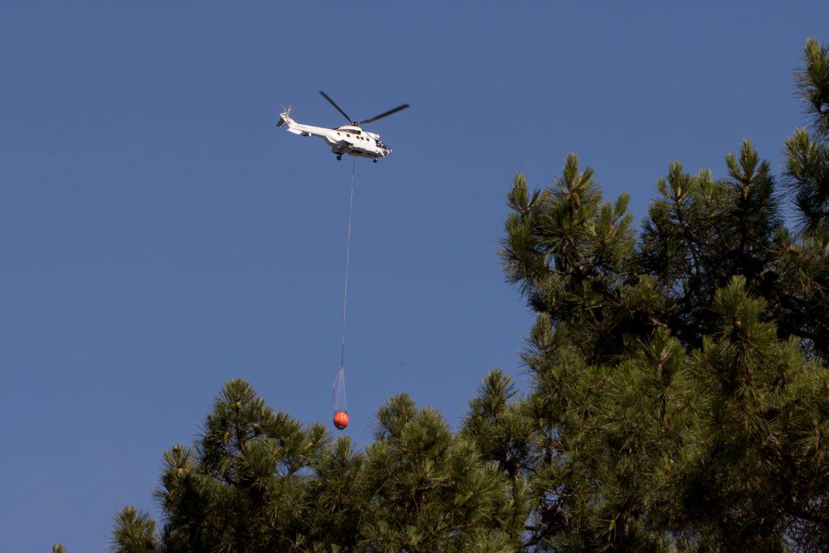 Sécurité Civile (@seccivilefrance) on Twitter photo 🔥🌲 Hier, un #FeuDeForêt s'est déclaré à La Tremblade (17).
Plus de 100 sapeurs-pompiers des <a href="/SDIS17/">Pompiers17</a> et <a href="/SDIS16/">Pompiers de la Charente</a> ont été engagés.
En appui, un hélicoptère bombardier d'eau, le Dragon 17 ainsi qu'un Dash étaient déployés sur place.
⚠️ Restez vigilants, alertez immédiatement les 🔥🌲 Hier, un #FeuDeForêt s'est déclaré à La Tremblade (17).
Plus de 100 sapeurs-pompiers des <a href="/SDIS17/">Pompiers17</a> et <a href="/SDIS16/">Pompiers de la Charente</a> ont été engagés.
En appui, un hélicoptère bombardier d'eau, le Dragon 17 ainsi qu'un Dash étaient déployés sur place.
⚠️ Restez vigilants, alertez immédiatement les