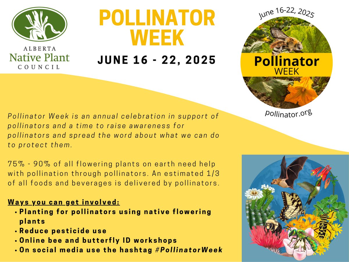 It’s Pollinator Week! Let’s show some love to our hardworking friends! 💕🐝🦋
#PollinatorWeek