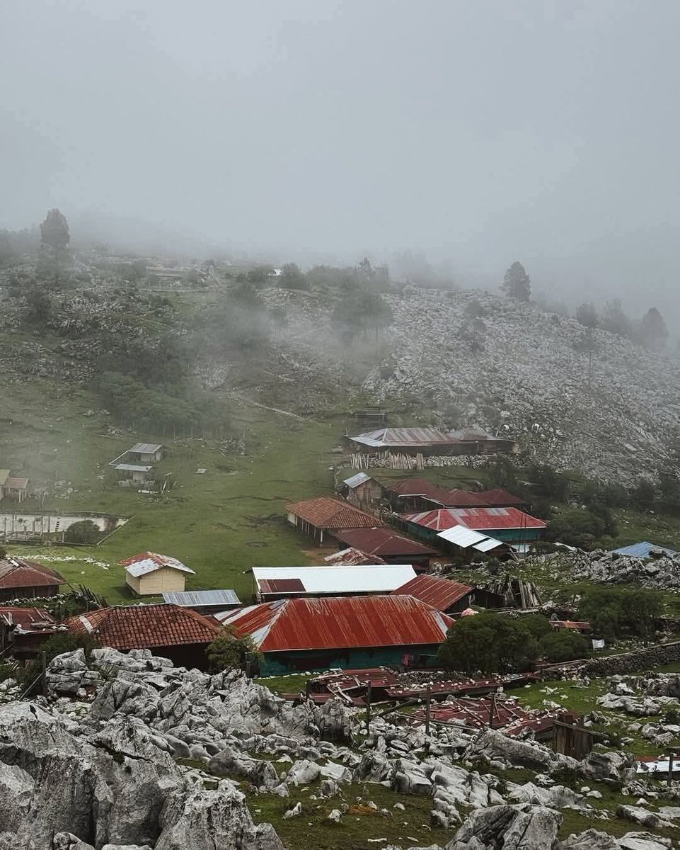 PuroQuiche's tweet photo. #Guatemala 💙🇬🇹❤️
Sierra de los Cuchumatanes 🌫☁️ ❤️🇬🇹
#CulturaHuehueteca #Guatemala #Chiantla #Huehuetenango #foryoupage #fypシ #fyp #comunicadora https://t.co/5Jcl6OStgy