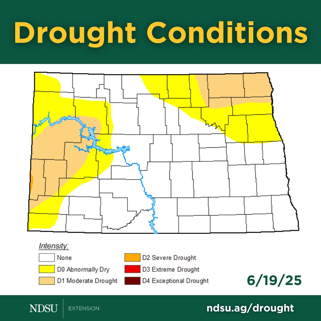This week's drought monitor indicates conditions have improved in some areas ndsu.ag/drought

Share your local impacts via the CMOR dashboard go.unl.edu/cmor

What should be reported? and how often? ndsu.edu/agriculture/ex…