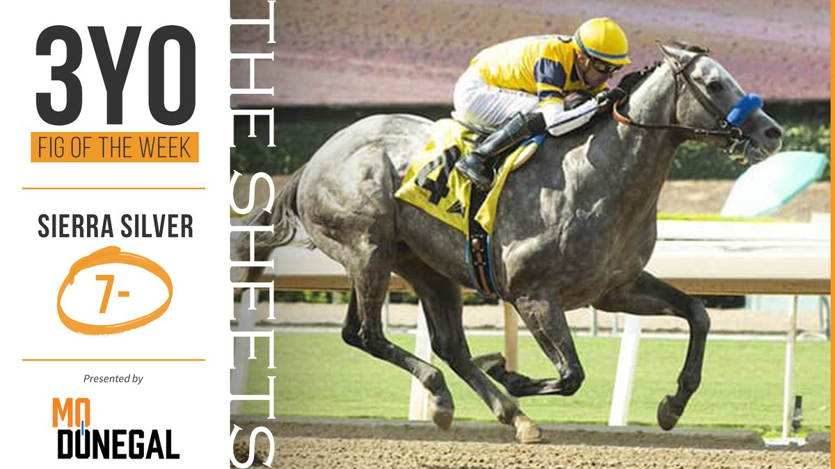 Ragozin Sheets (@ragozinsheets) on Twitter photo #3YOFigOfTheWeek, brought to you by <a href="/spendthriftfarm/">Spendthrift Farm</a> stallion MO DONEGAL, is <a href="/santaanitapark/">Santa Anita Park</a> MdSpWt winner SIERRA SILVER!
📷 by <a href="/benoitphoto_/">Benoit Photo</a> #3YOFigOfTheWeek, brought to you by <a href="/spendthriftfarm/">Spendthrift Farm</a> stallion MO DONEGAL, is <a href="/santaanitapark/">Santa Anita Park</a> MdSpWt winner SIERRA SILVER!
📷 by <a href="/benoitphoto_/">Benoit Photo</a>