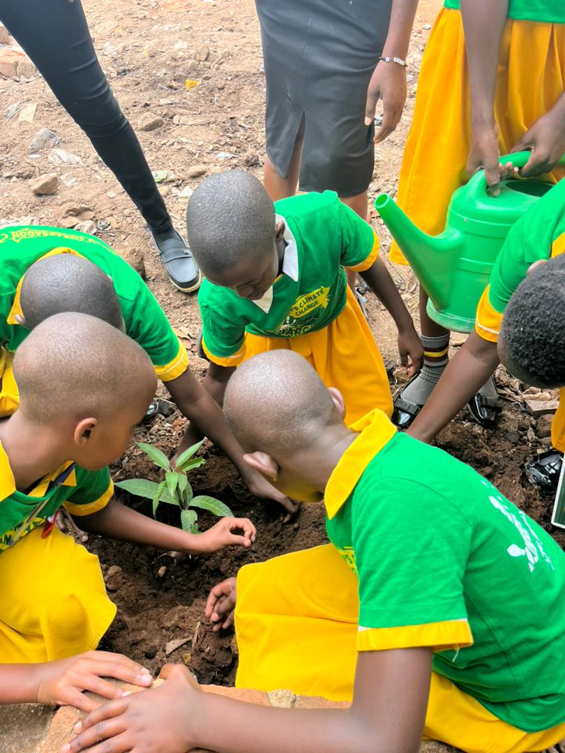 LilHandsGoGreen's tweet image. As Tara Nursery and primary school received their gold award(s) having participated in the children's climate change march, they as well planted trees in memory of their achievement. #GoGreenUg #GreenFestival25 #ClimatreffPunkt @JosephMasembe1 @rhosking252 @NBPTROCKS @violin4all