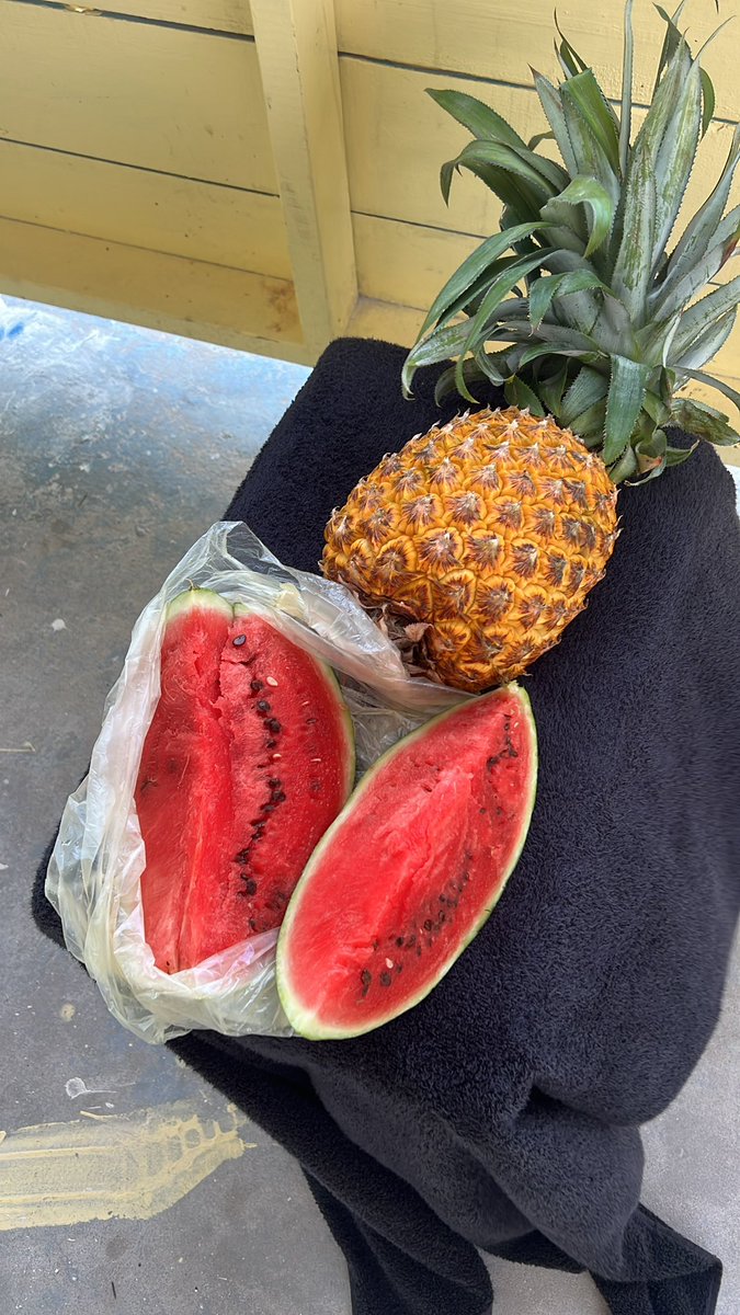 Literally my 2025…went full pirate cray

Said FK this bogus scam reality. Moved to Caye Caulker Belize

Lobster season opened July 1st…fish, live off photosynthesis, local watermelons/pineapples/seafood and Belize Bittaz herb rum…